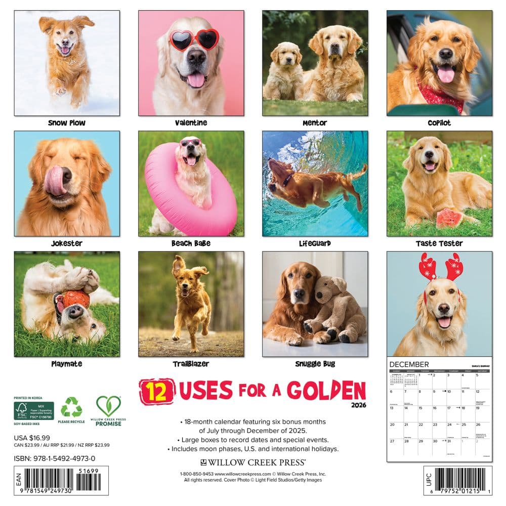 12 Uses For A Golden 2026 Wall Calendar First Alternate Image