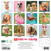 image 12 Uses For A Golden 2026 Wall Calendar First Alternate Image