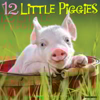 image 12 Little Piggies 2026 Wall Calendar Main Image