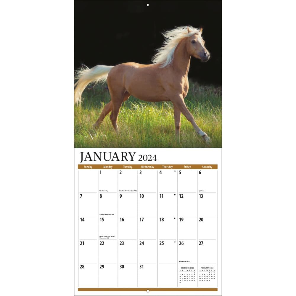 Horses Photo 2024 Wall Calendar Calendars Com   F0bba6c6 177a 44a4 888e 30a626796cd3