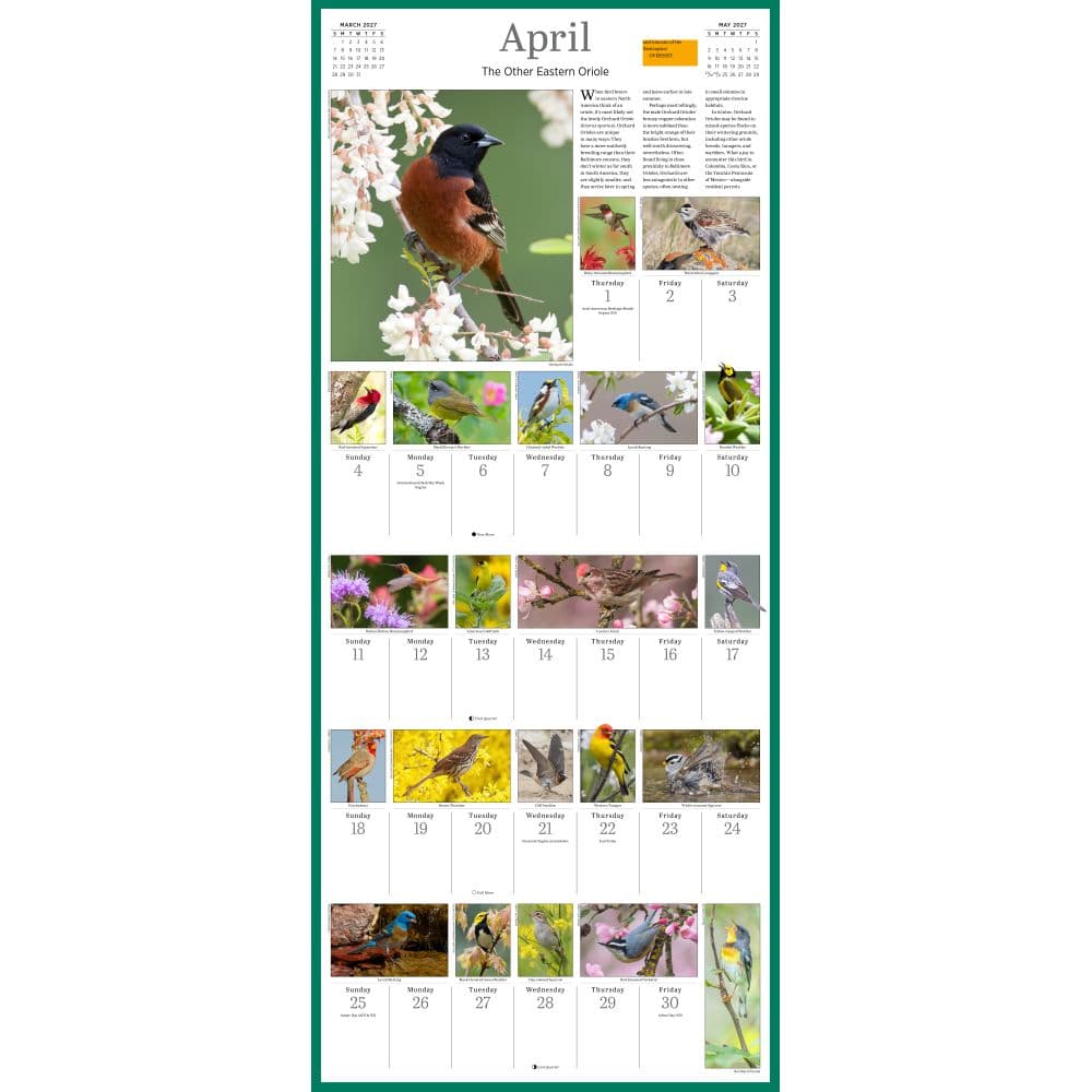 Audubon Songbirds and Other Backyard Birds Picture-A-Day 2027 Wall Calendar Third Alternate Image