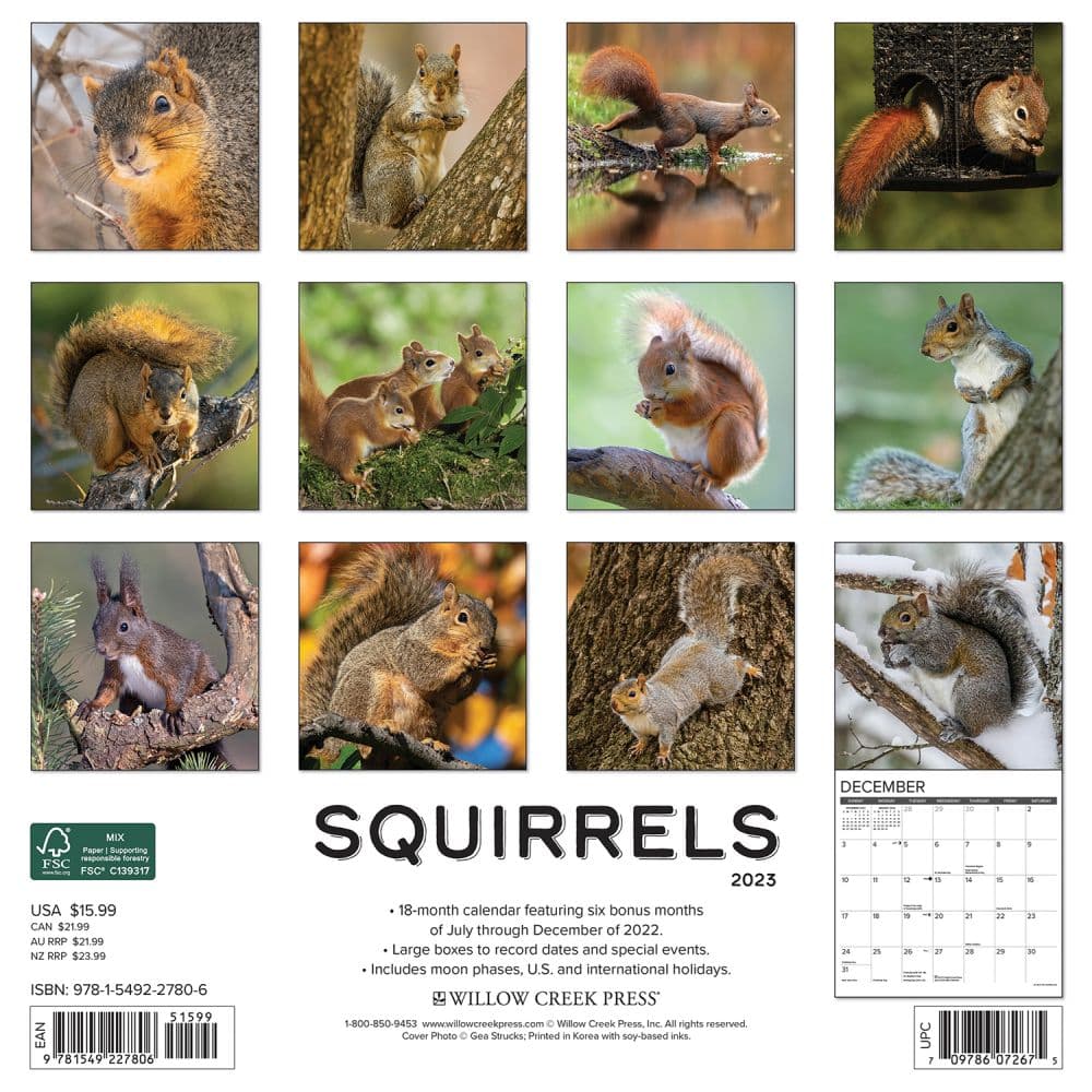 Squirrels 2023 Calendar - Calendars.com
