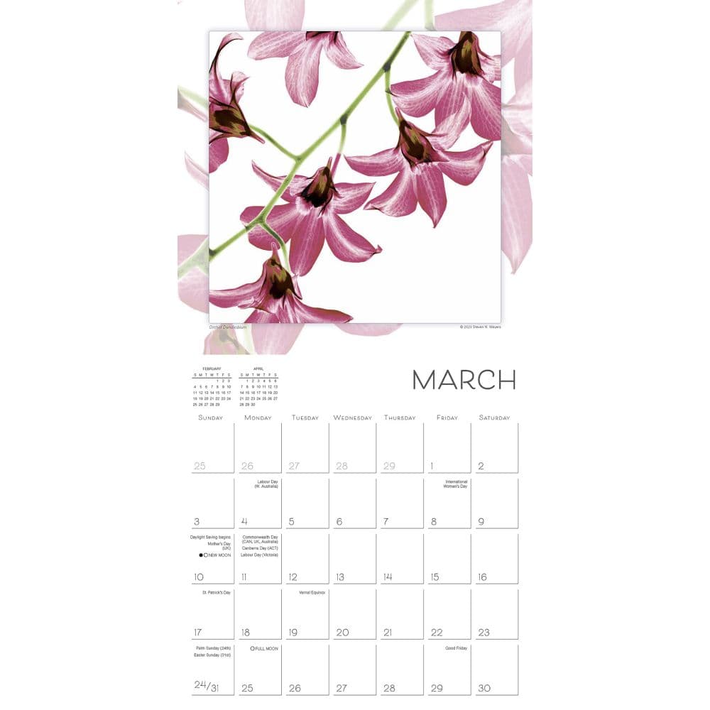 Flower Spirits 2024 Wall Calendar