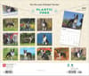 image Boston Terriers Deluxe 2025 Wall Calendar back