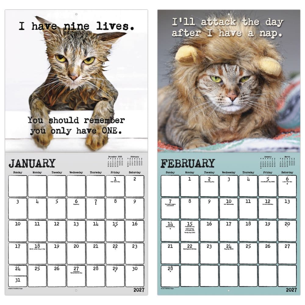 Snarcatstic 2027 Wall Calendar Fifth Alternate Image