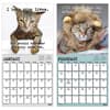 image Snarcatstic 2027 Wall Calendar Fifth Alternate Image