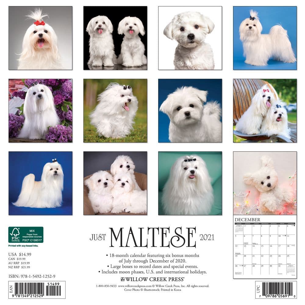 Just Maltese Wall Calendar