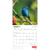 image Birds 2026 Wall Calendar Second Alternate Image