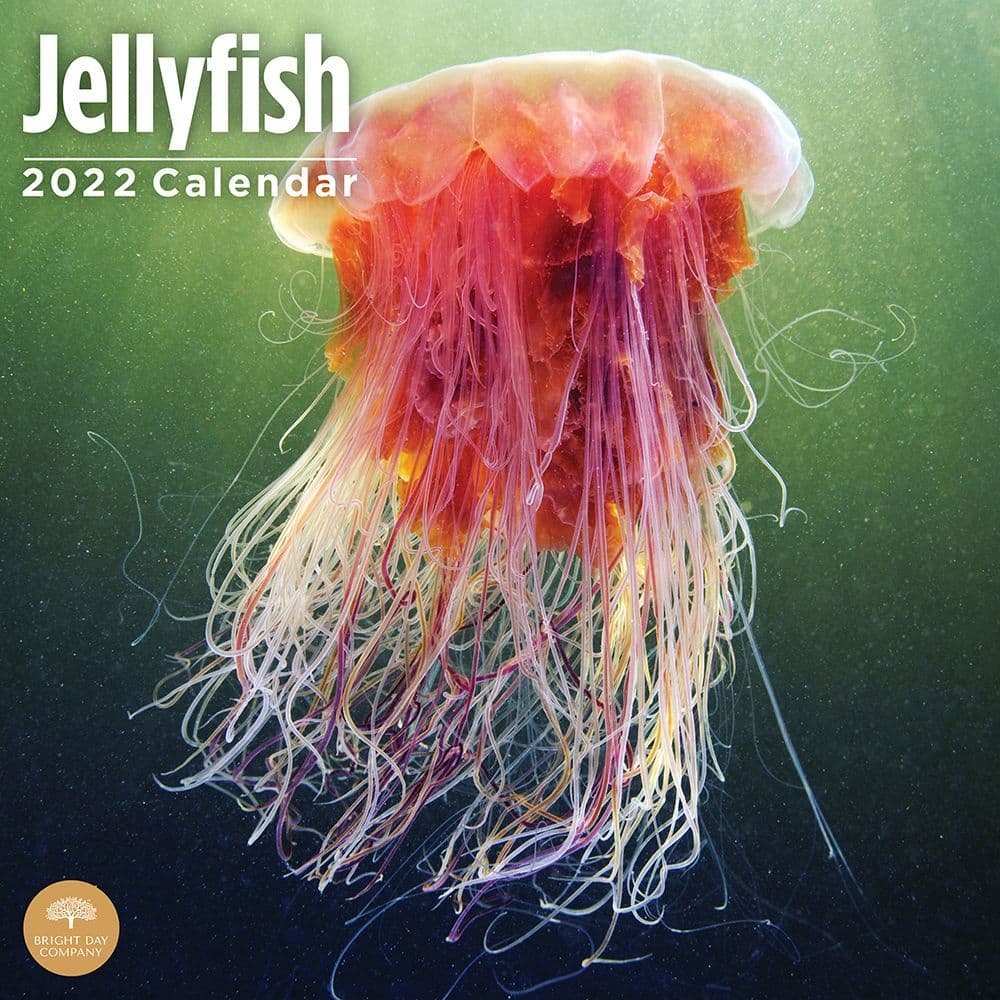 Jellyfish 2022 Wall Calendar