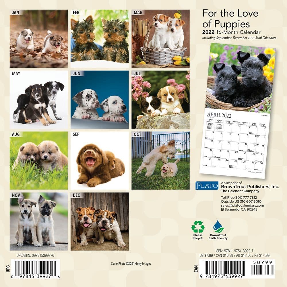 Puppies 2022 Mini 16 Month Calendar 5.75” x 5.75" 