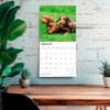 image Miniature Dachshunds 2027 Wall Calendar Fourth Alternate Image