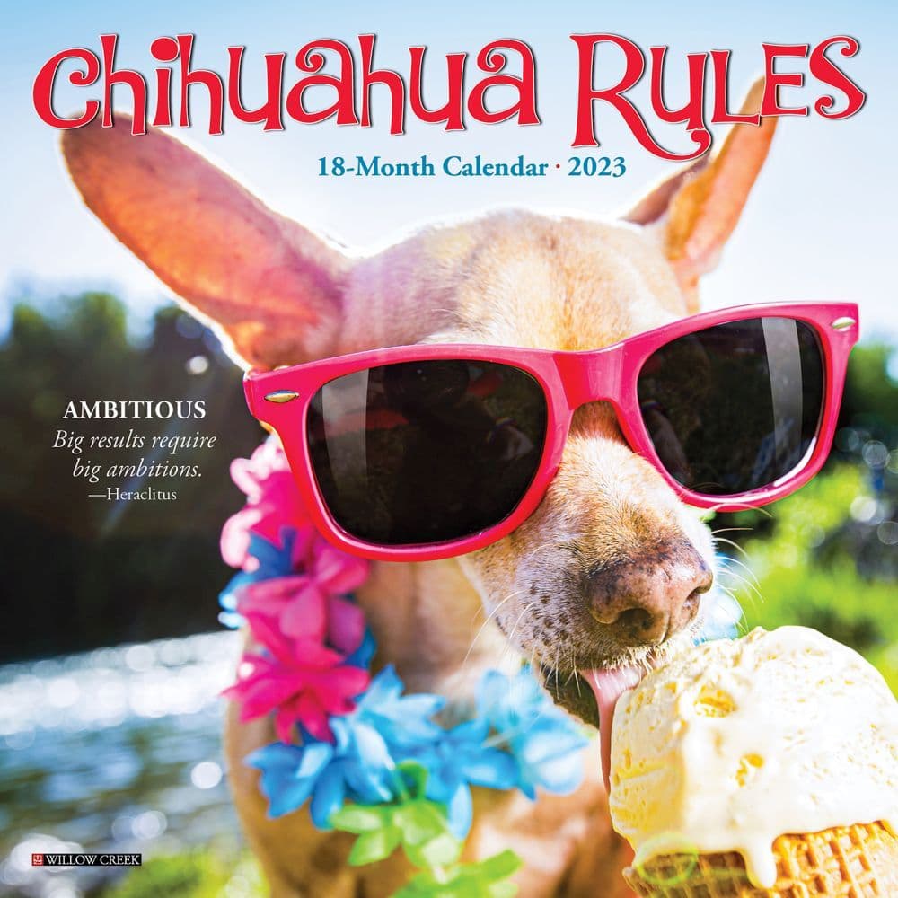 Chihuahua Rules 2023 Mini Wall Calendar Calendars