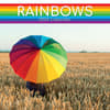 image Rainbows 2024 Wall Calendar Main Product Image width=&quot;1000&quot; height=&quot;1000&quot;