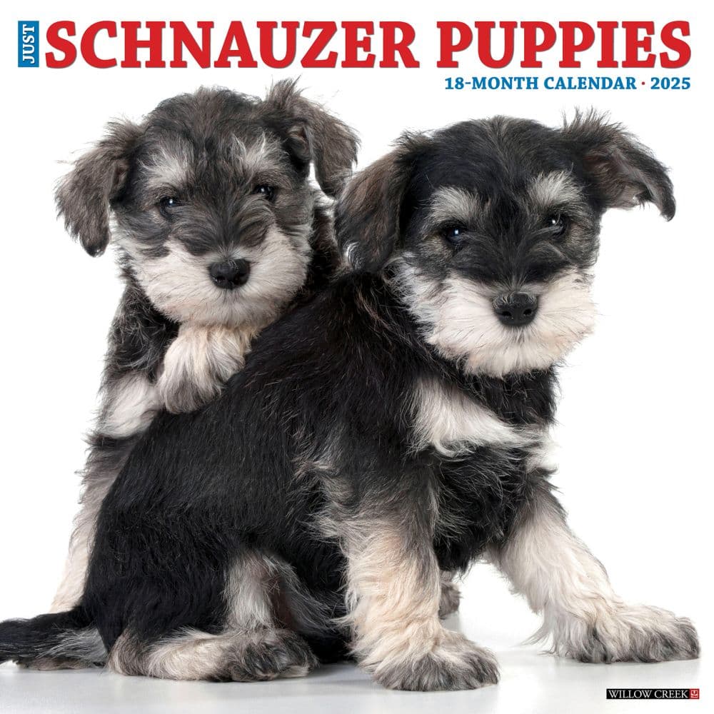 Just Schnauzer Puppies 2025 Wall Calendar Main Image