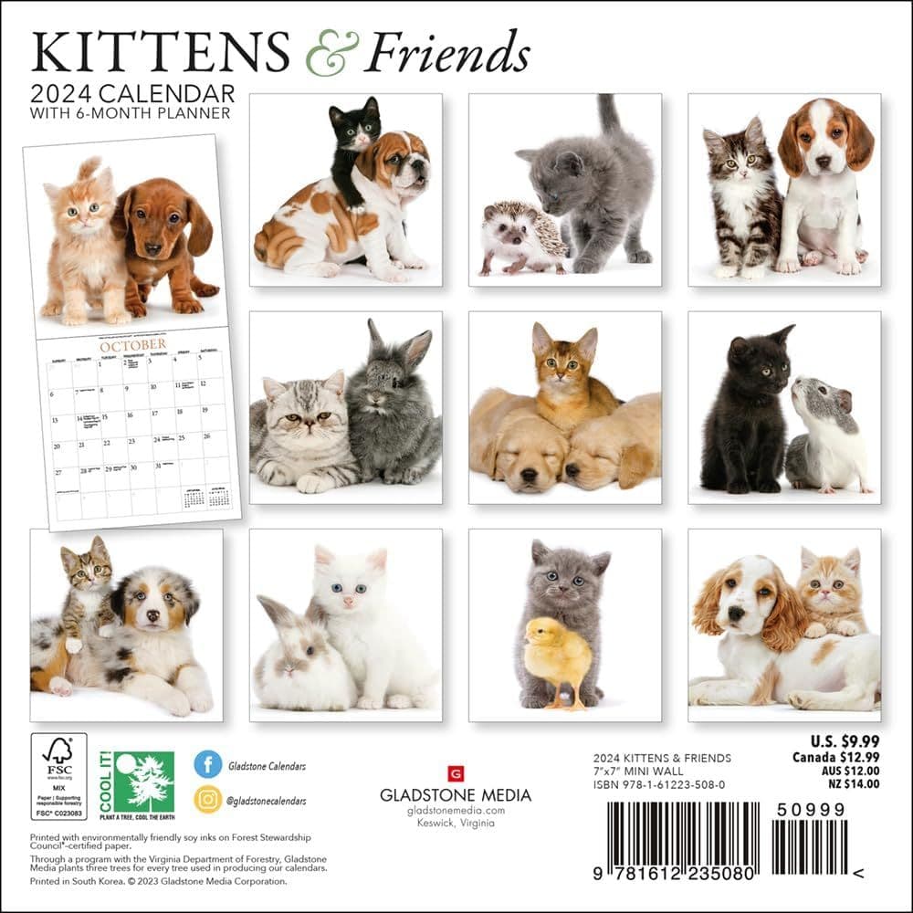 Kittens &amp; Friends 2024 Mini Wall Calendar First Alternate Image width=&quot;1000&quot; height=&quot;1000&quot;
