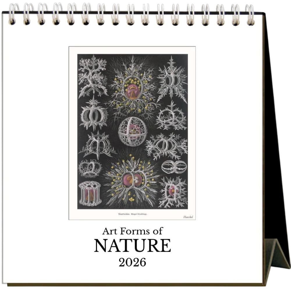 Art Forms of Nature 2026 Easel Desk Calendar Main Product Image
