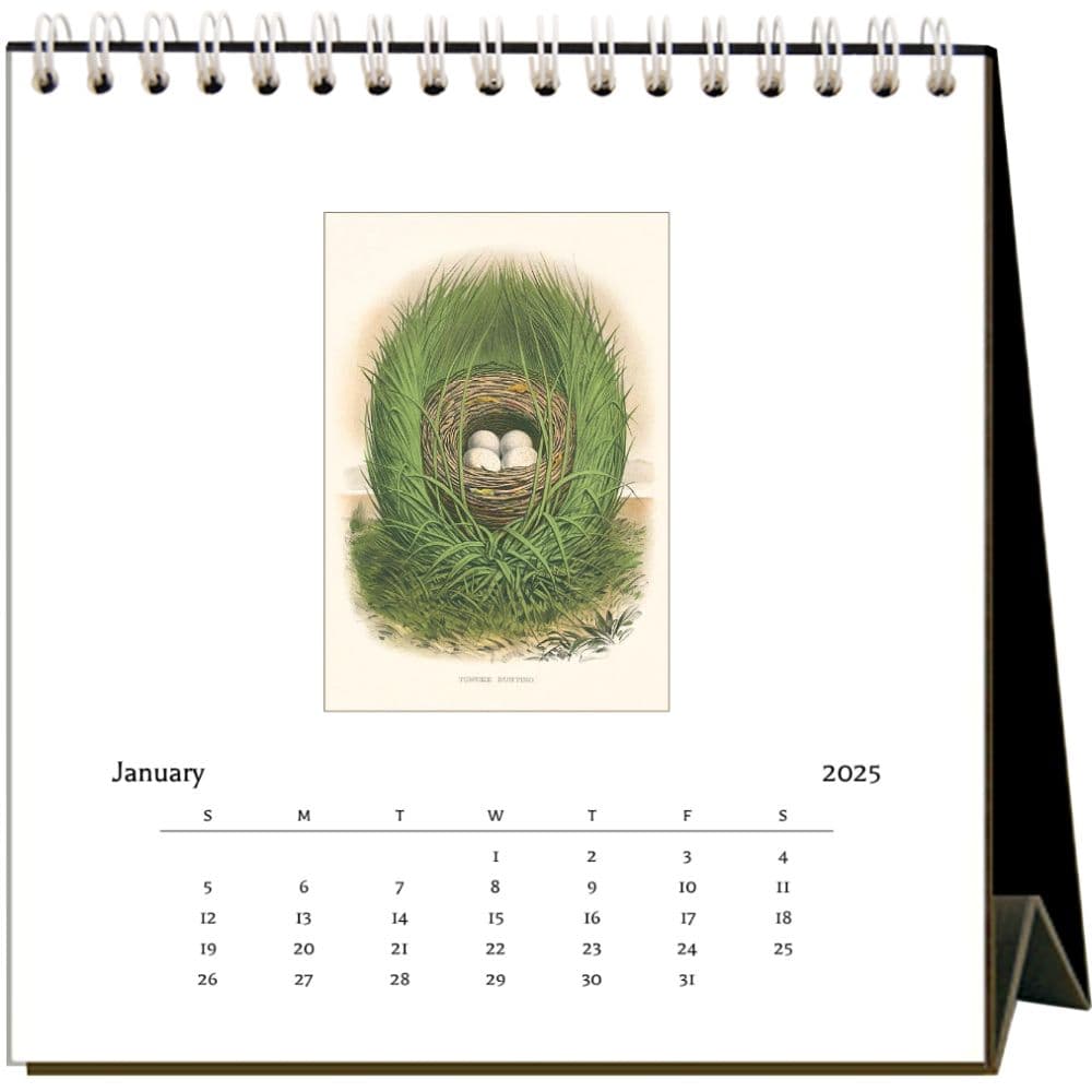 Nests 2025 Easel Desk Calendar Second Alternate Image width="1000" height="1000"