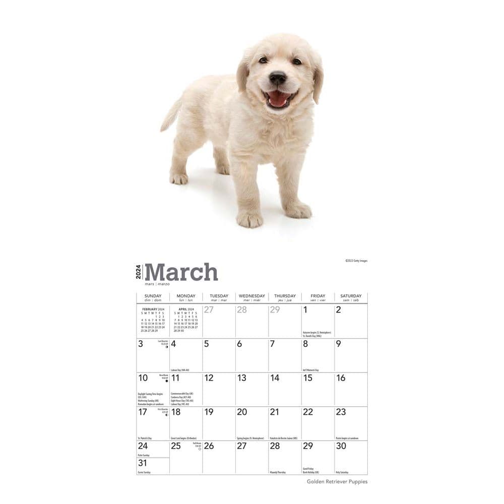 Golden Retriever Puppies 2024 Mini Wall Calendar Calendars Com   F131e9c4 A4a4 4990 9f46 E5f5e8498e5a