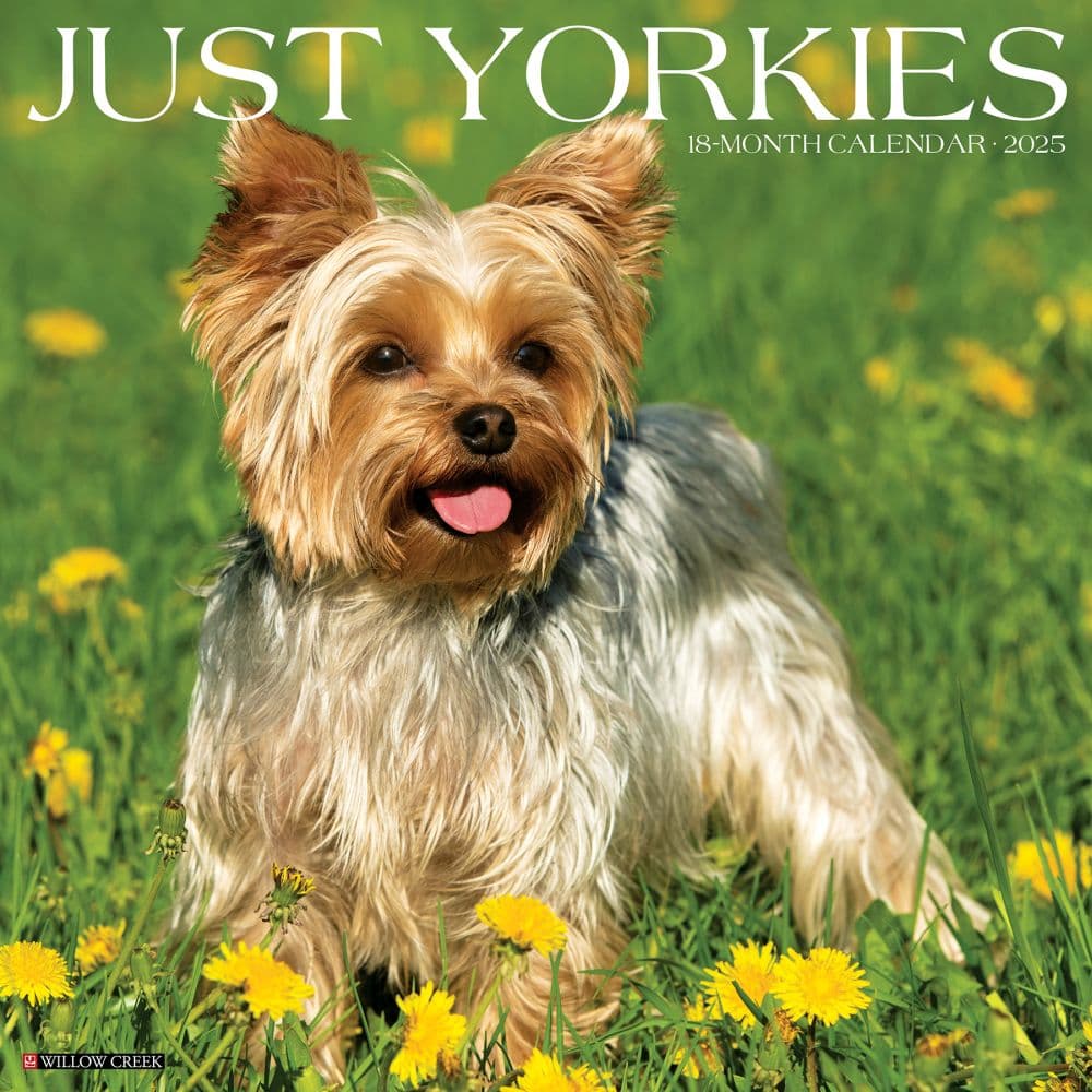 Just Yorkies 2025 Wall Calendar