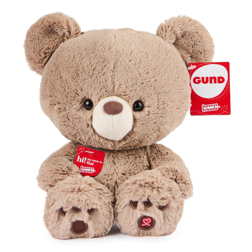 Kai Teddy Bear Plush Twelfth Alternate Image