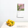 image Hummingbirds Plato 2025 Mini Wall Calendar