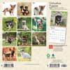 image Chihuahua Puppies 2024 Mini Wall Calendar First Alternate Image width=&quot;1000&quot; height=&quot;1000&quot;
