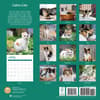 image Calico Cats 2025 Wall Calendar First Alternate Image width=&quot;1000&quot; height=&quot;1000&quot;