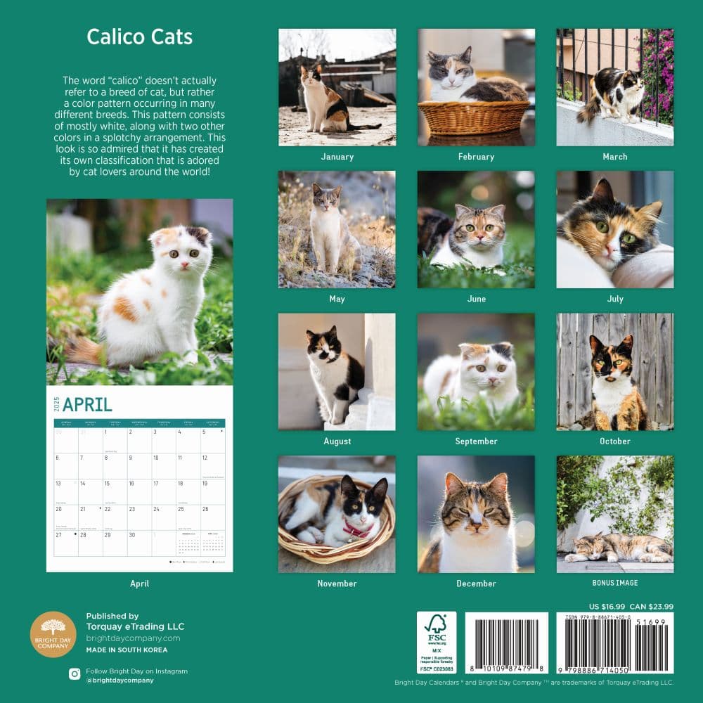 Calico Cats 2025 Wall Calendar First Alternate Image width=&quot;1000&quot; height=&quot;1000&quot;