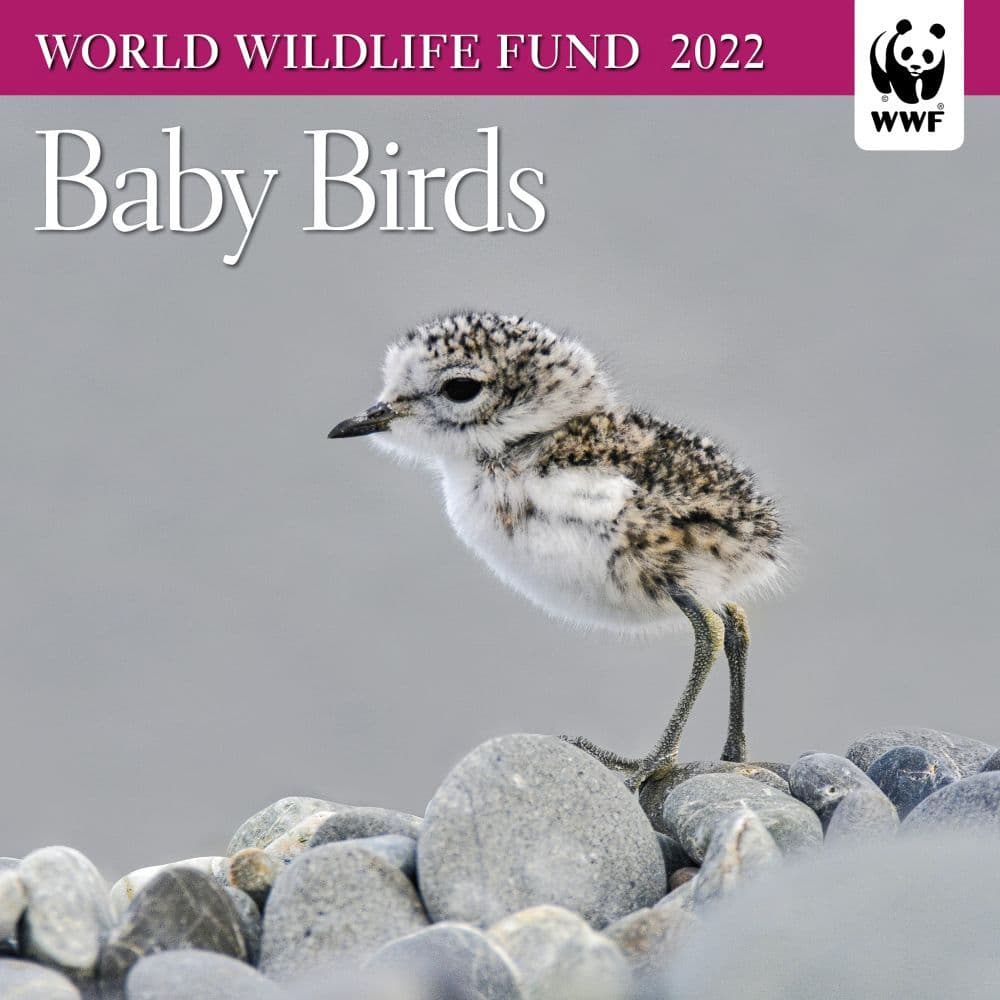 Baby Birds WWF 2022 Mini Wall Calendar