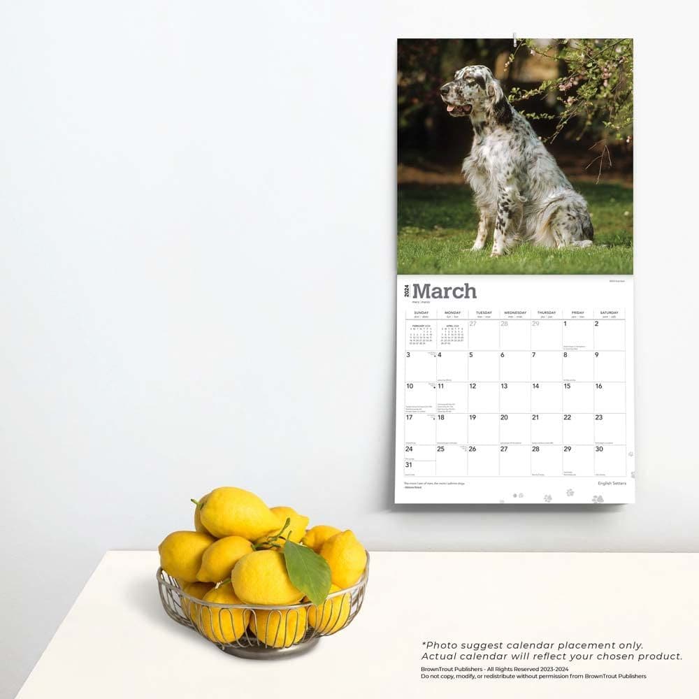 English Setters 2024 Wall Calendar Third Alternate Image width=&quot;1000&quot; height=&quot;1000&quot;