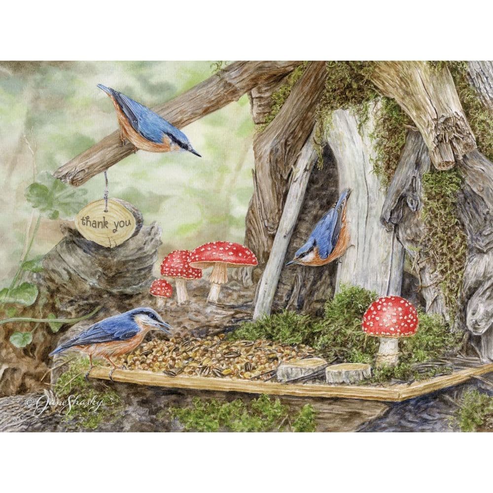 Fairy Garden 5.25" x 4" Blank Boxed Note Cards by Jane Shasky Main Image