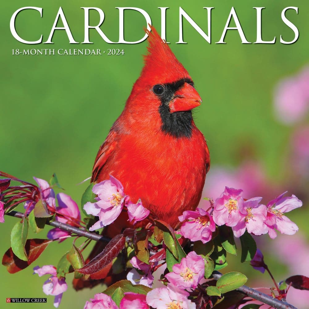 Cardinals 2024 Wall Calendar