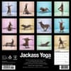 image Jackass Yoga 2025 Wall Calendar