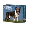 image Just Boston Terriers 2025 Desk Calendar Main Product Image