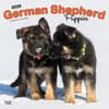 image German Shepherd Puppies 2025 Wall Calendar