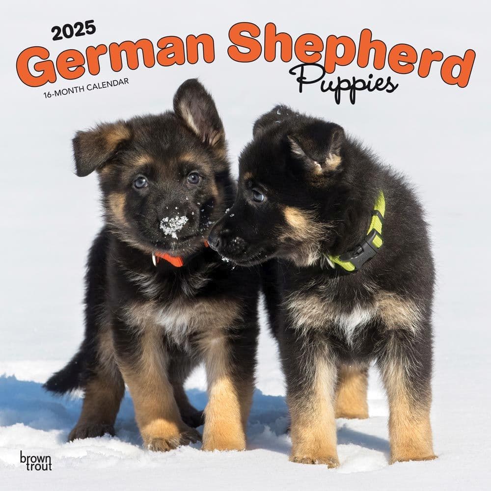 image German Shepherd Puppies 2025 Wall Calendar Main Image