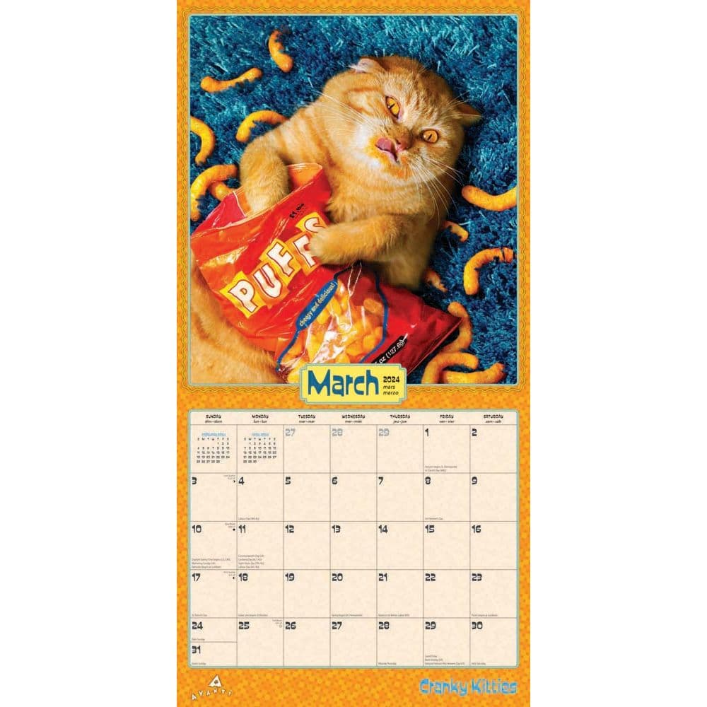 Avanti Cranky Kitties 2024 Wall Calendar