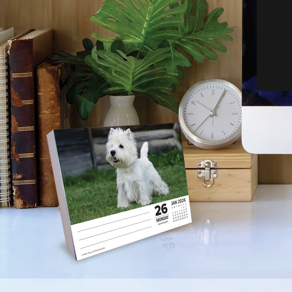 Just Westies 2026 Desk Calendar Second Alternate Image