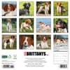 image Just Brittanys 2025 Wall Calendar