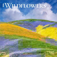 image Wildflowers 2026 Mini Wall Calendar