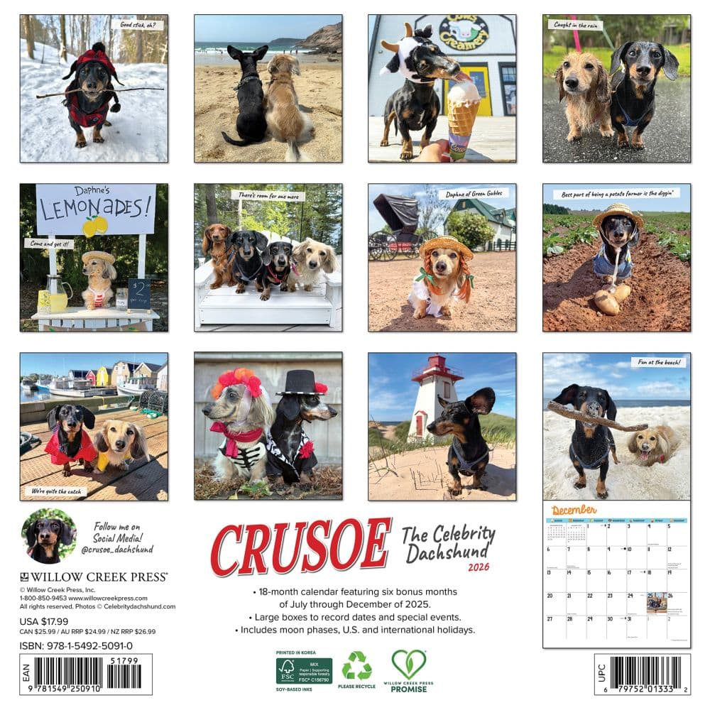 Crusoe the Celebrity Dachshund 2026 Wall Calendar First Alternate Image