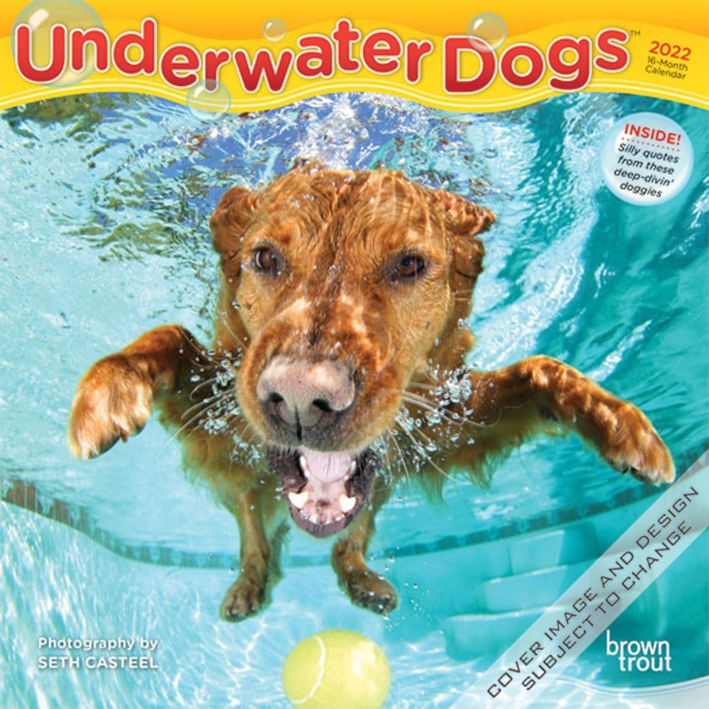 Underwater Dogs 2022 Mini Wall Calendar