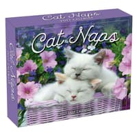image Cat Naps 2027 Desk Calendar Main Product Image