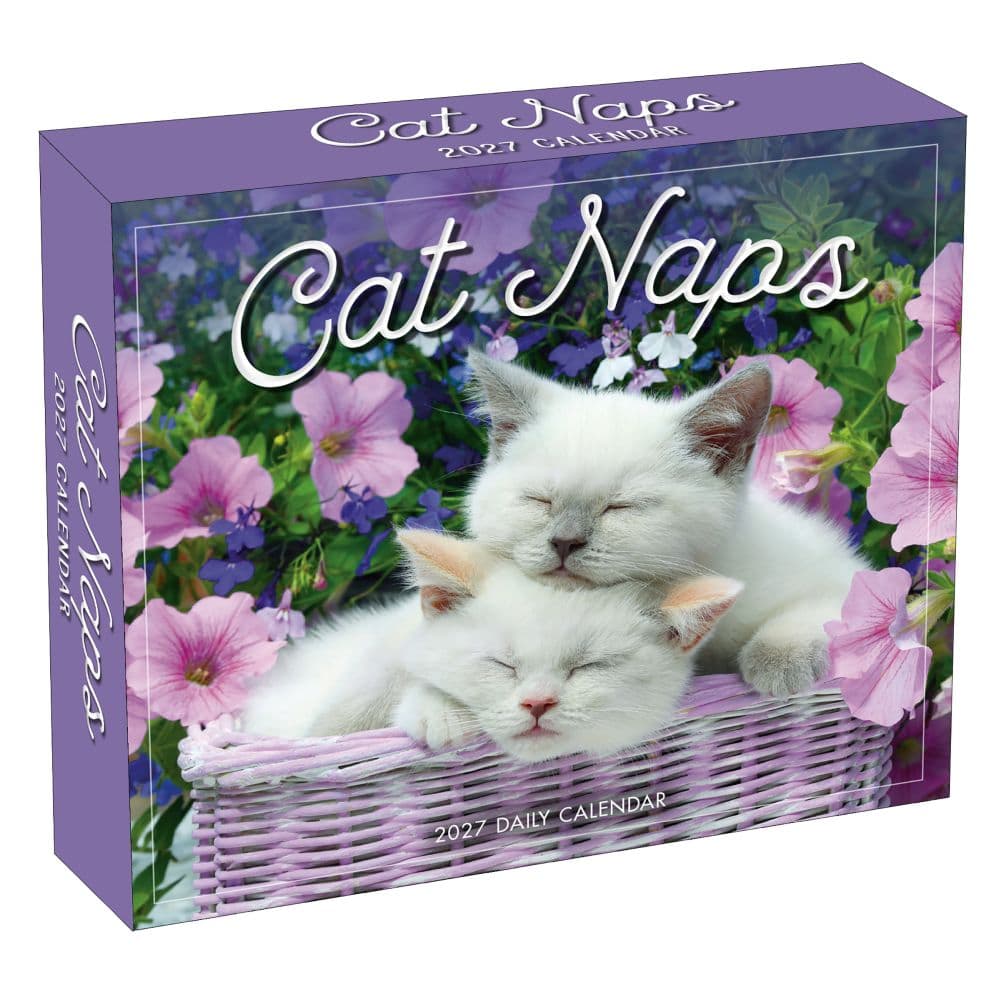 image Cat Naps 2027 Desk Calendar Main Product Image