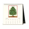 image Arboretum 2025 Easel Desk Calendar First Alternate Image width="1000" height="1000"