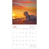 image Dogs on Vacation 2025 Wall Calendar Third Alternate Image