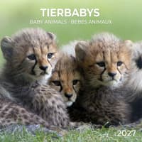 image Baby Animals 2027 Wall Calendar Main Product Image