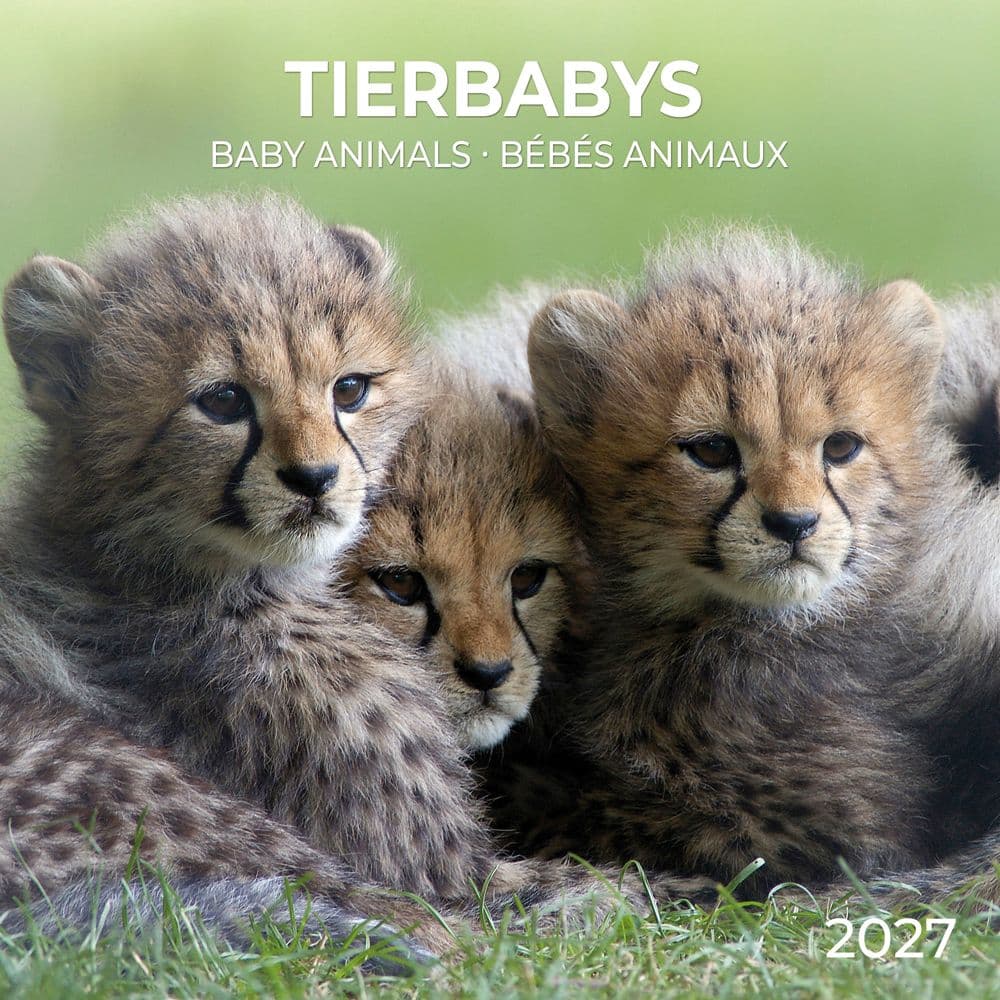 image Baby Animals 2027 Wall Calendar Main Product Image