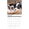 image Cats and Dogs 2025 Wall Calendar Second Alternate Image width="1000" height="1000"