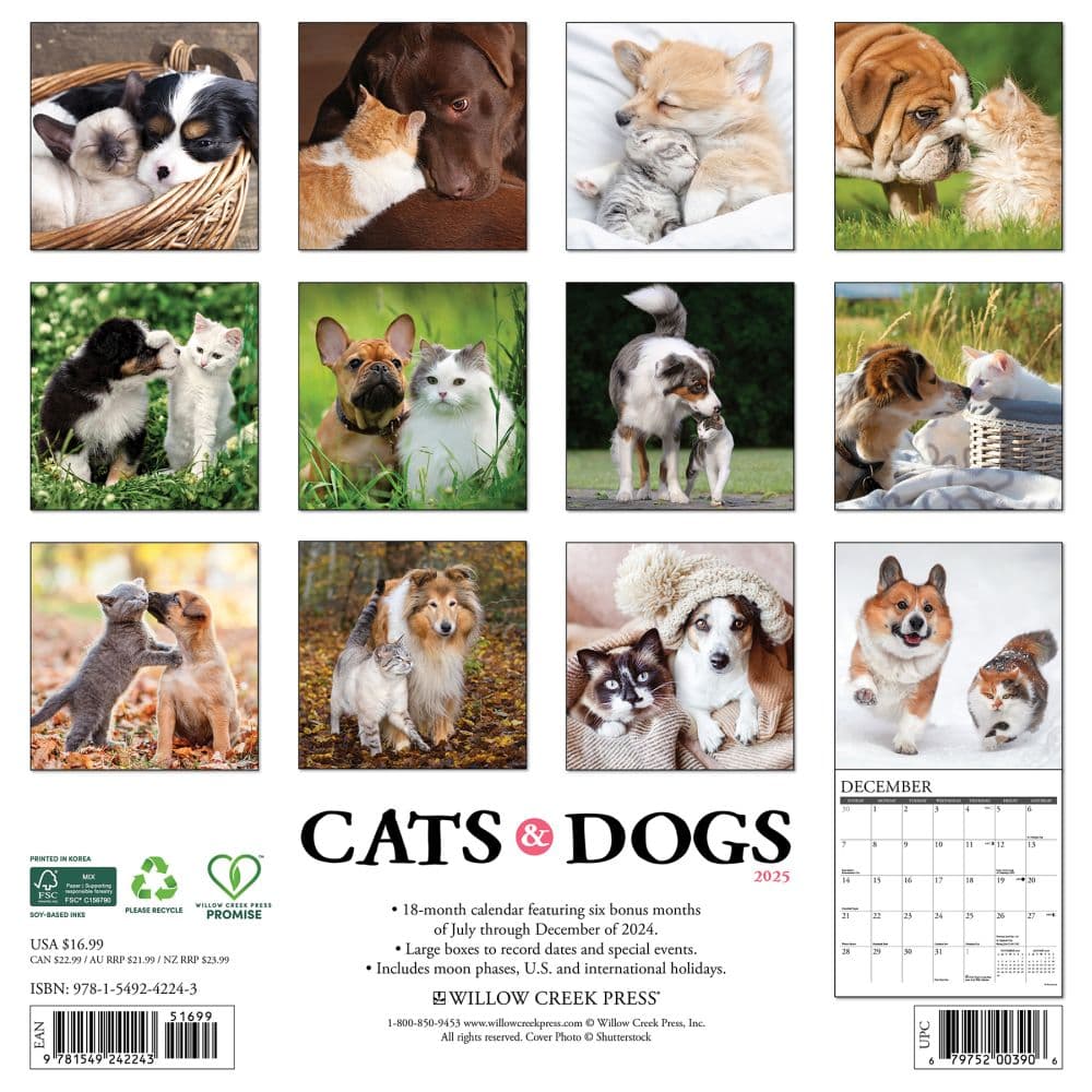 Cats and Dogs 2025 Wall Calendar First Alternate Image width="1000" height="1000"